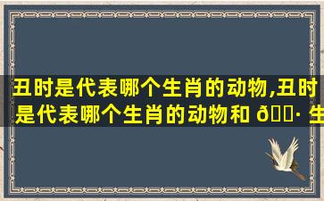 丑时是代表哪个生肖的动物,丑时是代表哪个生肖的动物和 🌷 生肖